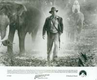 Indiana Jones And The Temple Of Doom Still 4 USA 8x10 Original 1984