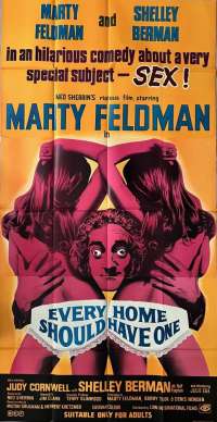 Every Home Should Have One Poster 3 Sheet Original 1970 Feldman